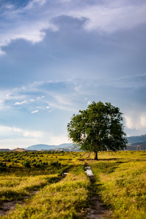 alaçam evden eve nakliyat