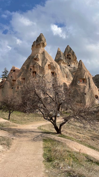 nevşehir merkez evden eve nakliyat