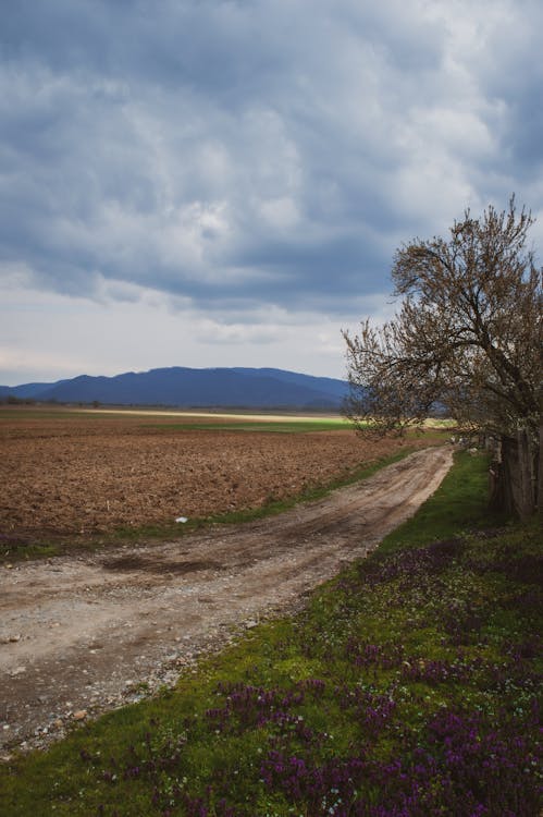 imranlı nakliye