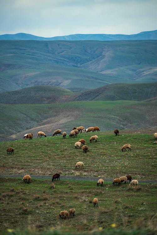 akıncılar nakliye