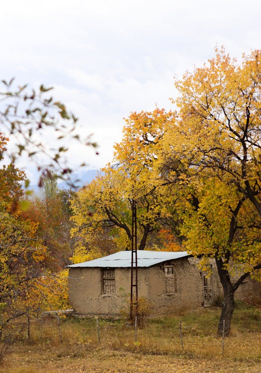 tuşba evden eve nakliyat