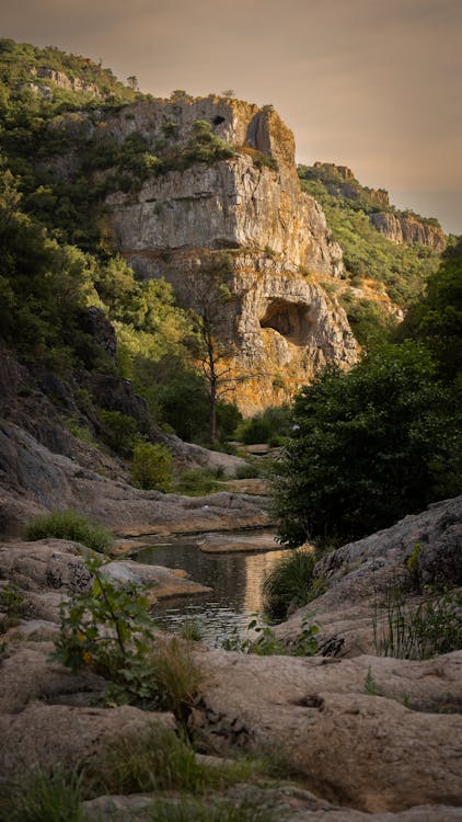 başiskele nakliye