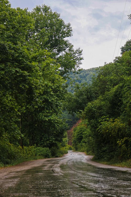 çaykara nakliye