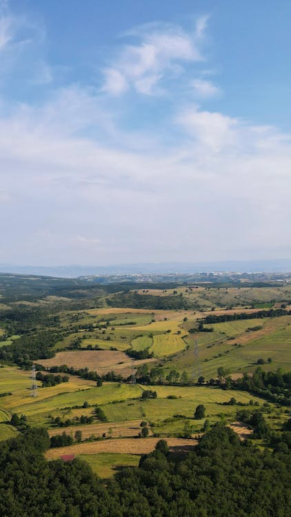 gebze nakliye