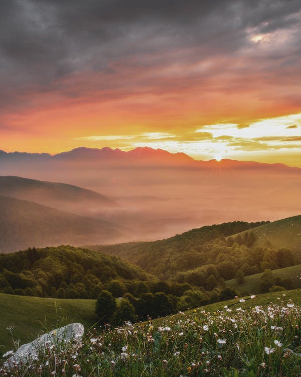 yozgat merkez evden eve nakliyat